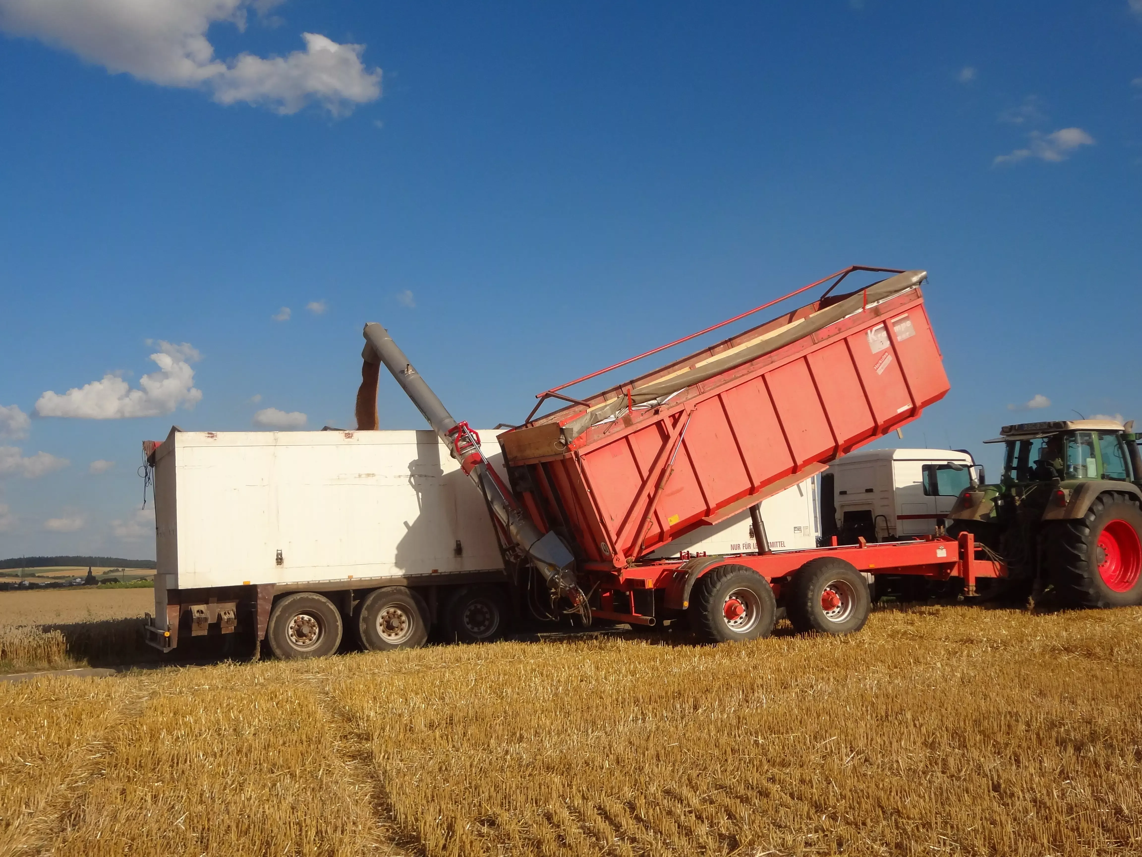 Bildbeschreibungstext